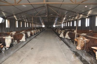 聚力精準扶貧 秦州發(fā)展畜牧養(yǎng)殖助力農(nóng)民增收與牧場工程設計