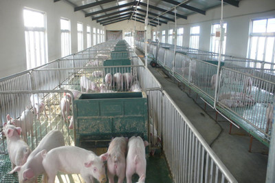 在希望的田野唱響“新農(nóng)歌” 揚州張家村畜牧設備技術(shù)開發(fā)的振興之路